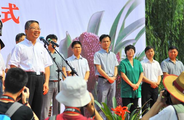 兰溪7万亩杨梅集中开摘迎客